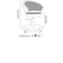 Salon Ambience Hairdressing Chair Flute SA Star Base