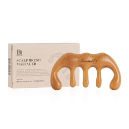 Benton Scalp Brush Massager