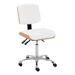 Der Silverfox Arbeitsstuhl Zoi bietet eine ergonomische R&uuml;ckenlehne, stufenlose H&ouml;henverstellung und ger&auml;uscharme Rollen. Ideal f&uuml;r Kosmetikstudios und andere Arbeitsumgebungen.