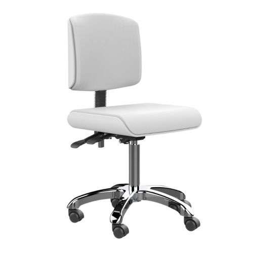 Der Silverfox Arbeitsstuhl Zoi bietet eine ergonomische Rückenlehne, stufenlose Höhenverstellung und geräuscharme Rollen. Ideal für Kosmetikstudios und andere Arbeitsumgebungen.